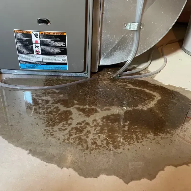 Appliance Leak Cleanup in Morris, AL